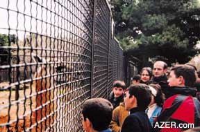 Refugee schoo children at the national Zoo, sponsored by AIOC. April 2003.