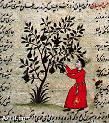 Turkachara - Turkic Healing